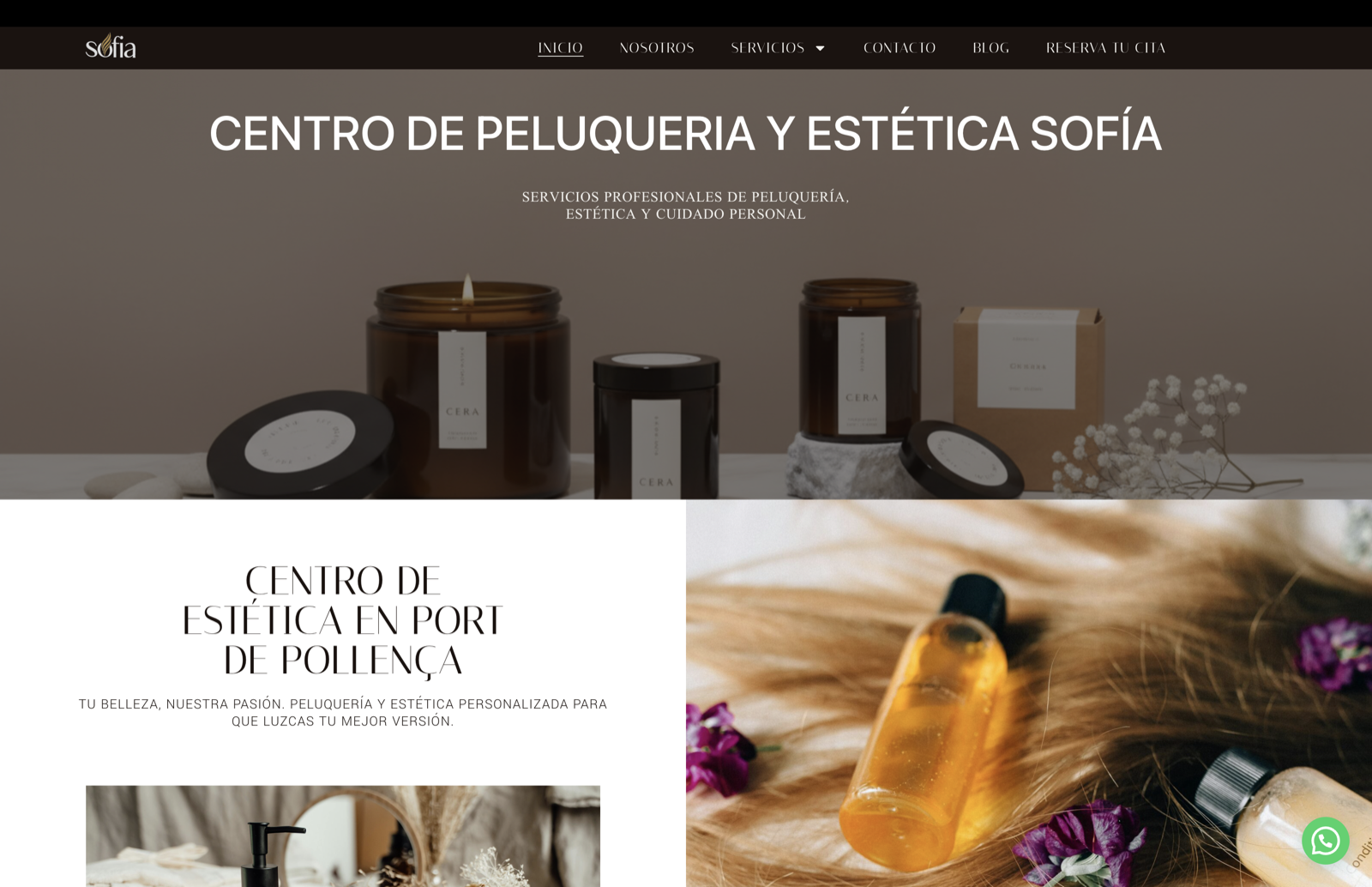 Página de inicio de Centro Sofía